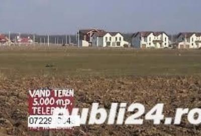 Teren de 5000 mp, în Șag - 1