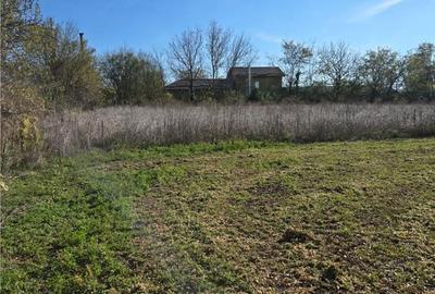 Spațiu comercial, în Daia - 4