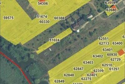 Teren de 6000 mp, în Ciolpani - 3