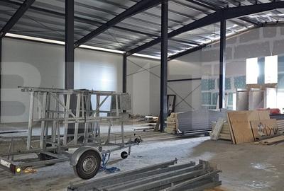 HALA INDUSTRIALA/DEPOZIT/BIROURI - 5