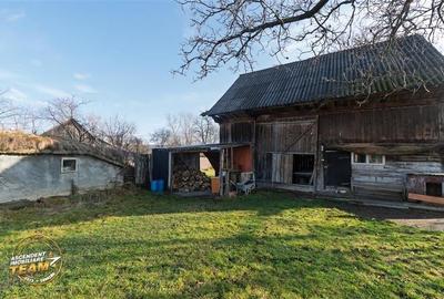 FILM! Casa cu sura, pivnita, balta cu pesti, 2.280 mp teren roditor, Lemnia, Cov - 23