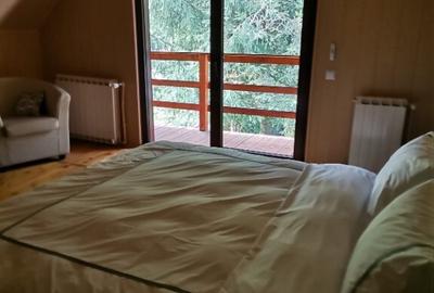 Cabana vacanta 4 dormitoare Azuga, Prahova - 7