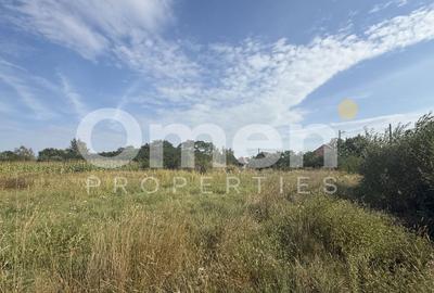 Teren Construcții intravilan de 6561 mp, în Exterior Est - 4