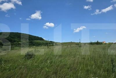 Teren de 5000 mp, în Ciurila - 4