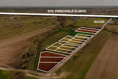 Teren Construcții intravilan de 600 mp, în Moșnița Nouă - 6