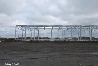 Inchiriere depozit/hala/spatiu industrial Mogosoaia - Buftea - 8