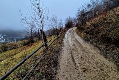 Teren intravilan Simon/Bran, 4318 mp , casuta intabulata, utilitati - 32