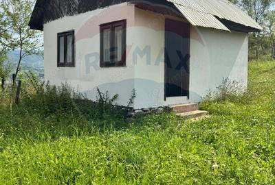 Casa / Vila cu 4 camere de vanzare in zona Est - 2