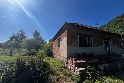 Casa de vanzare comuna Burjuc - 5