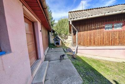 Oportunitate afacere pensiune, casa mare in aproprierea Castelului Corvinilor, Hunedoara - 3