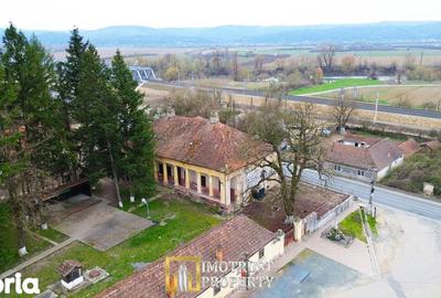 Casă cu Teren 2655 Mp în Târnova - 10