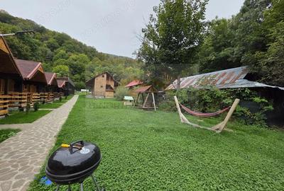 Pensiune cu 70 locuri cazare Valea Doftanei de inchiriat - 3