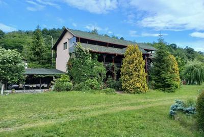 Teren de 10208 mp, în Eșelnița - 7