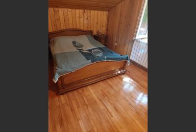 Vila superba 7 camere, Provita de Jos, 22.000 mp teren - 14