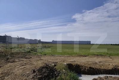 Teren de 10000 mp, în Nufărul - 3