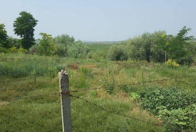 CASLITA- TEREN 1629 MP, IESIRE LA BALTA CASLA - 1