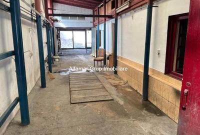 Teren intravilan în Giurgiului - 5