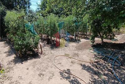 Casă cu Teren 824 Mp în Central - 1