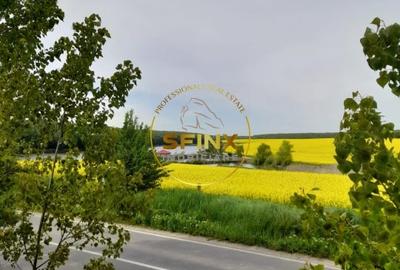 Teren cu autorizatie 3 case Caldarusani lac/padure 2700 mp, 85 ml deschidere DJ - 3