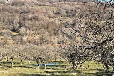 Spațiu comercial, în Central - 5
