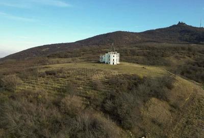 Castel cu vedere panoramica pe dealul ?iriei - 5