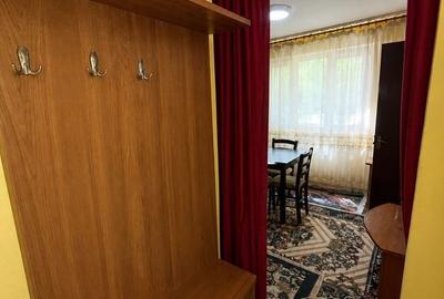 Garsonieră nedecomandată în Pantelimon
