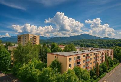 Apartament luminos,2 camere,balcon,boxa, potential design personal,Astra,Brasov - 7