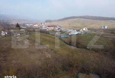 Teren de 3470 mp, în Ocnița - 10