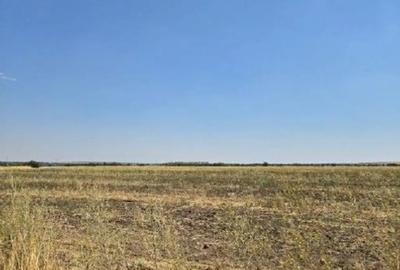 Teren de 4300 mp, în Smârdioasa - 5