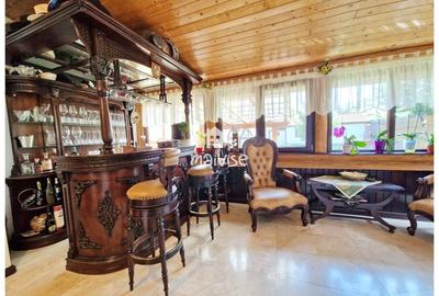 Casa deosebita de vanzare- zona Craiter - 4