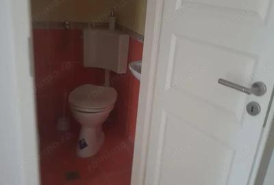 Ofer la inchiriere SAD zona centrala Balcescu-Rusu Sireanu, P+1+M, 200 mp utili, 10 camere + 4 bai - 1