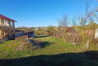 Spațiu comercial, în Sărbătoarea - 6