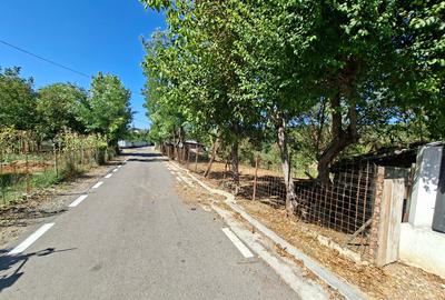 Teren curatat de vegetatie, 1600mp, strada Musat Voda nr. 26-28, - 1