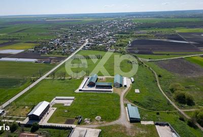 Spațiu comercial, în Crânguri - 13