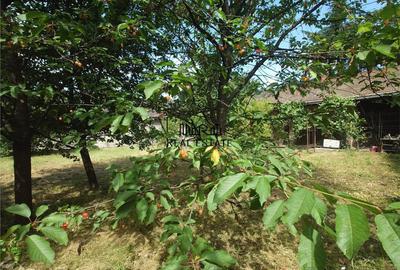 Casă cu 5 camere cu Teren 605 Mp în Central - 11