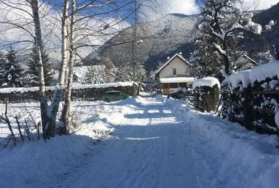 Teren de 500 mp, în Zăvoi - 5
