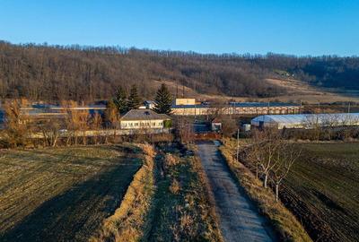 Fosta Ferma a Partidului de la Horgesti - de vanzare - 2