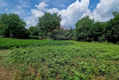 Teren 2743 mp, 2 fronturi, asfalt Vii?oara, Neam? - 15