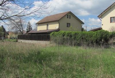 Cornetu - Lalelelor, Stradal - 4