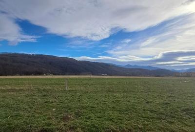 Spațiu comercial, în Central - 17