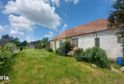 Casă cu 3 camere cu Teren 2800 Mp în Moacșa - 11