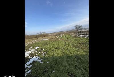 Casă cu 3 camere în Pănade - 2