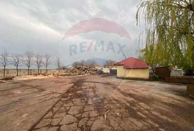 Spațiu industrial, de 7,756 mp, în Cerăt - 22