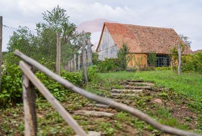 Casa saseasca in inima Transilvaniei - Bruiu 326 - 4