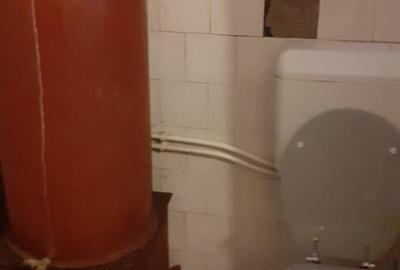 Casă cu 3 camere în Brâznic - 5