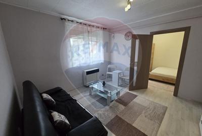 Apartament cu 2 camere semidecomandat, mobilat în Vest - 8