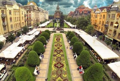 SAD 47,67 mp | vitrină și acces în piață | opțiune terasă - 1