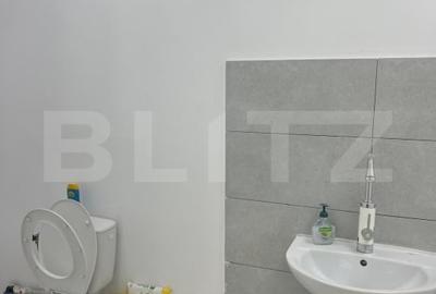 Hala 290,6 mp si 1263 mp teren, zona Carcea - 9