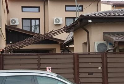 Casă individuală cu 6 camere cu Canalizare în Giulești - 3