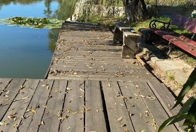 Teren intravilan 2.100 mp acces lac și utilități, Siliștea Snagovului - 1